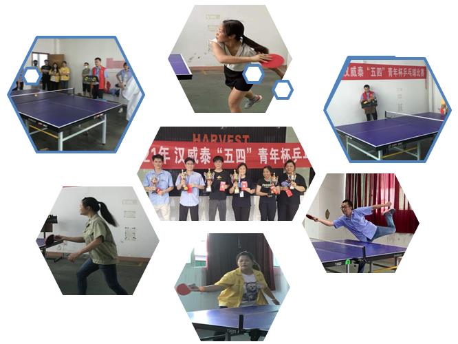 1622513257106343.jpg 1.jpg